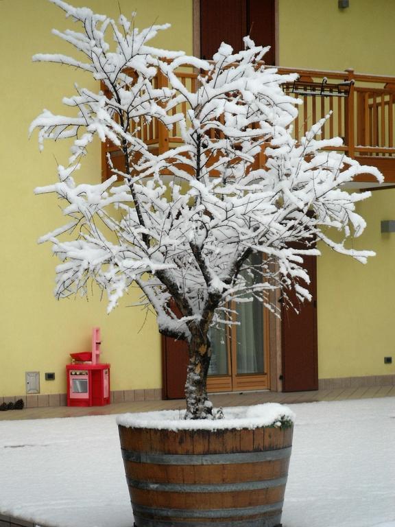 Вілла Agritur Ai Masi Pergolese Екстер'єр фото